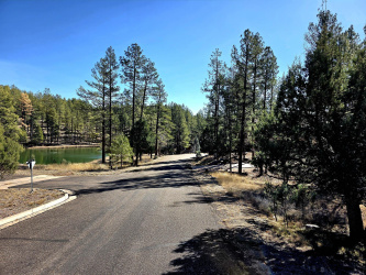 122 Hunter Creek Drive, Payson, Arizona 85541, ,Land,For Sale,Hunter Creek,93365