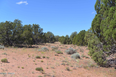 4027 Indian Bend Road, Snowflake, Arizona 85937, ,Land,For Sale,Indian Bend,259334