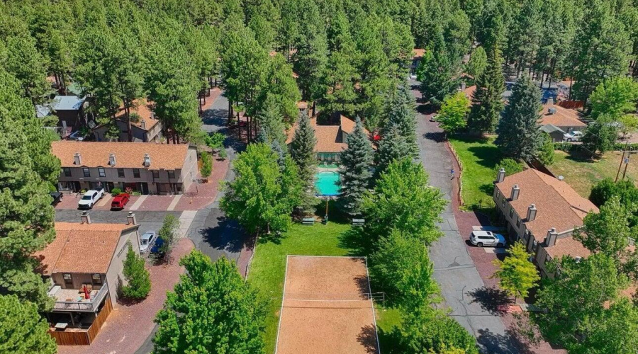 Country Pines View