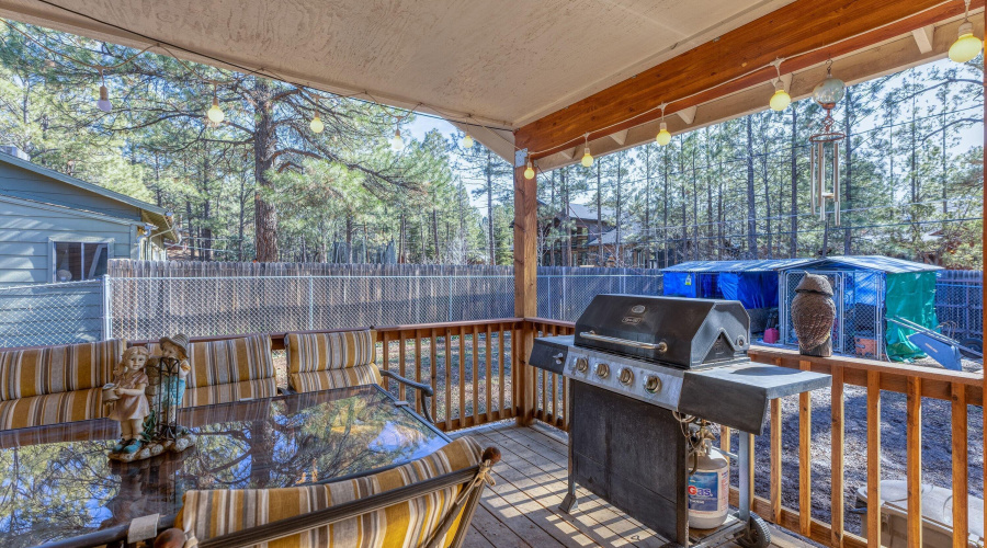 Back Deck