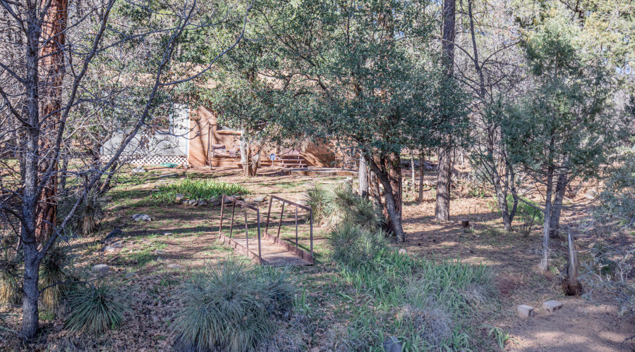 Front Yard in Winter