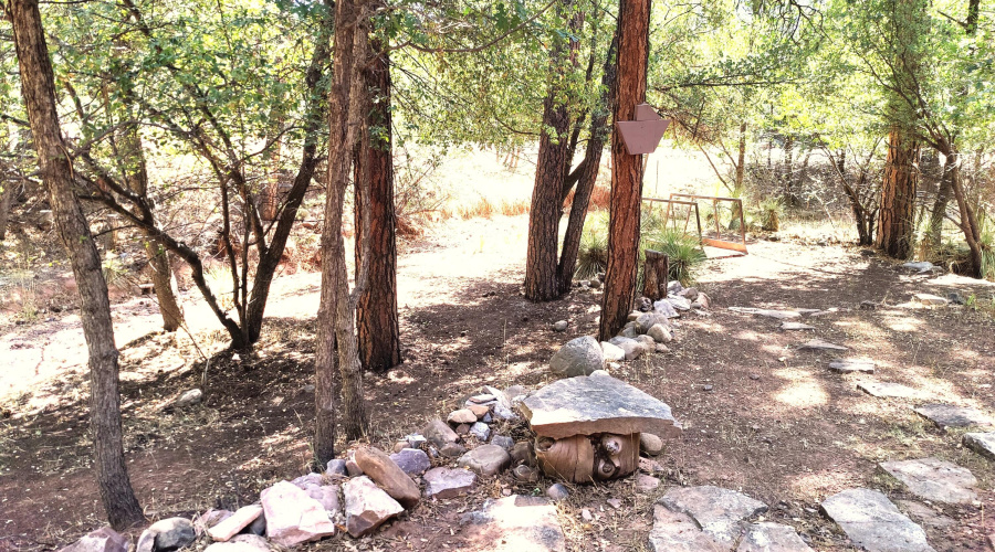 Front Yard in Summer