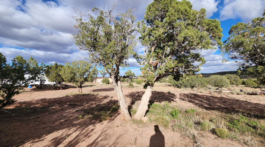 20251024_151919