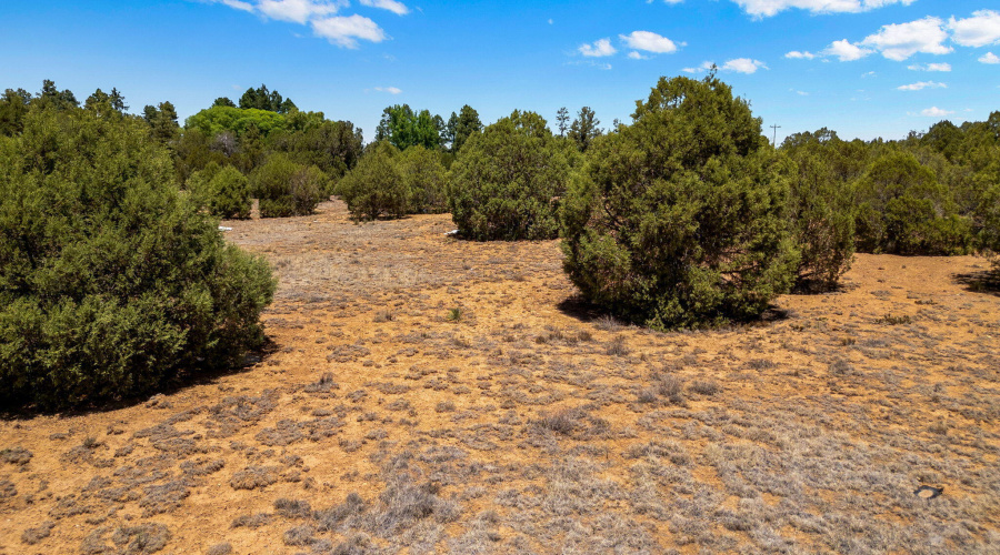 7104AZ260-ShowLow-AZ-13