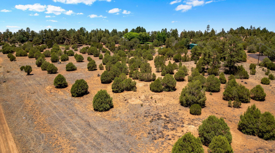 7104AZ260-ShowLow-AZ-14