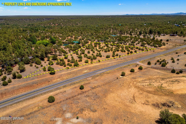 7104 State Route 260, Show Low, Arizona 85901, ,Land,For Sale,State Route 260,259386