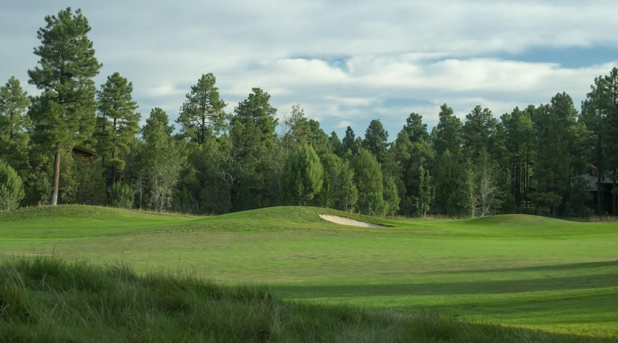 Torreon-Golf-Course-16-2