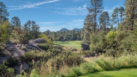 2609 PINE ISLAND Lane, Payson, Arizona 85541, Bedrooms, ,Bathrooms,Residential,For Sale,PINE ISLAND,93381