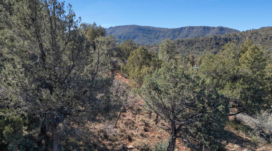 TimberCreekImagery117-10