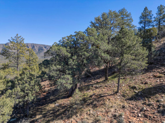 Lot 163 Portal Drive, Pine, Arizona 85544, ,Land,For Sale,Portal,93382