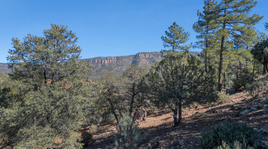TimberCreekImagery116-9