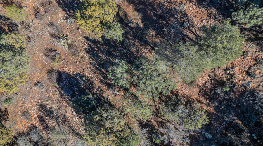 TimberCreekImagery116-13