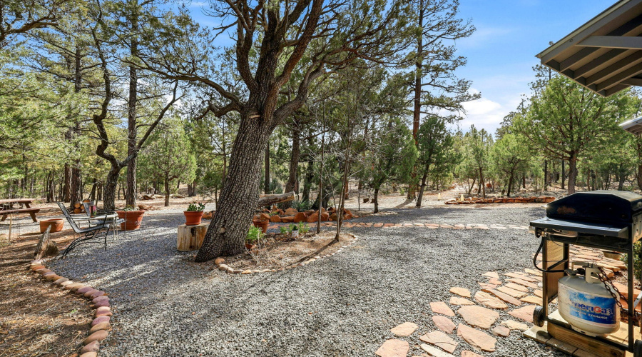 2056LoneMountainRd-HeberOvergaard-AZ-27