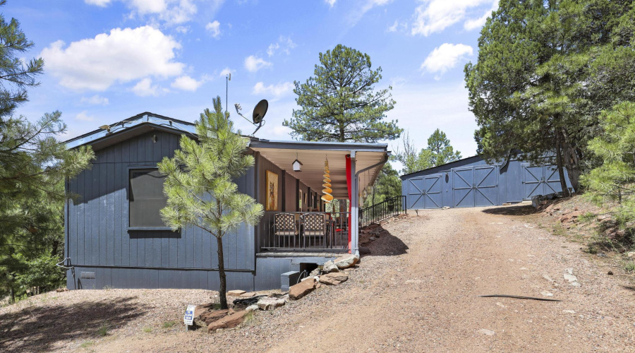 254 A P16