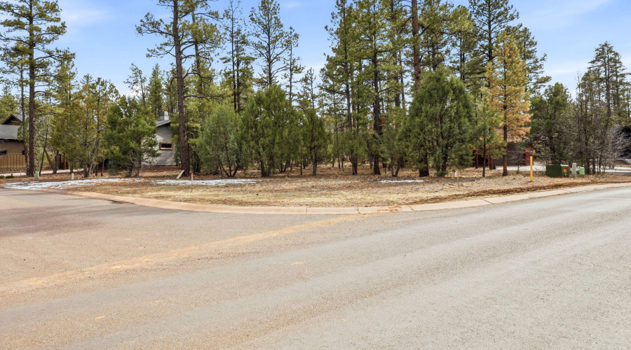 2840NarrowLeafLn-ShowLow-AZ-9