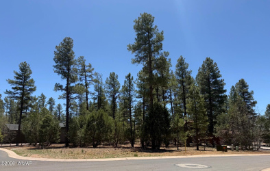 2480 Narrow Leaf Lane, Show Low, Arizona 85901, ,Land,For Sale,Narrow Leaf,259406