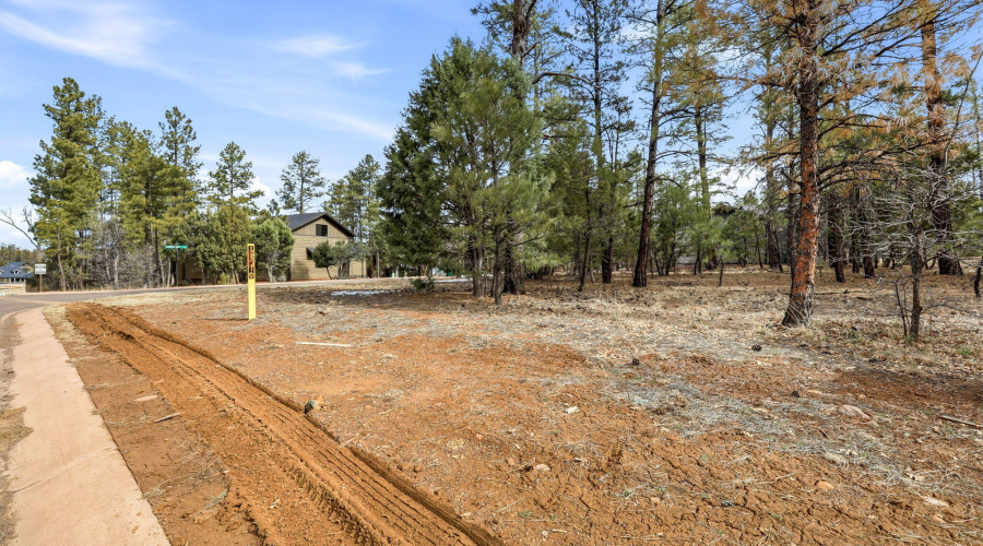 2840NarrowLeafLn-ShowLow-AZ-2