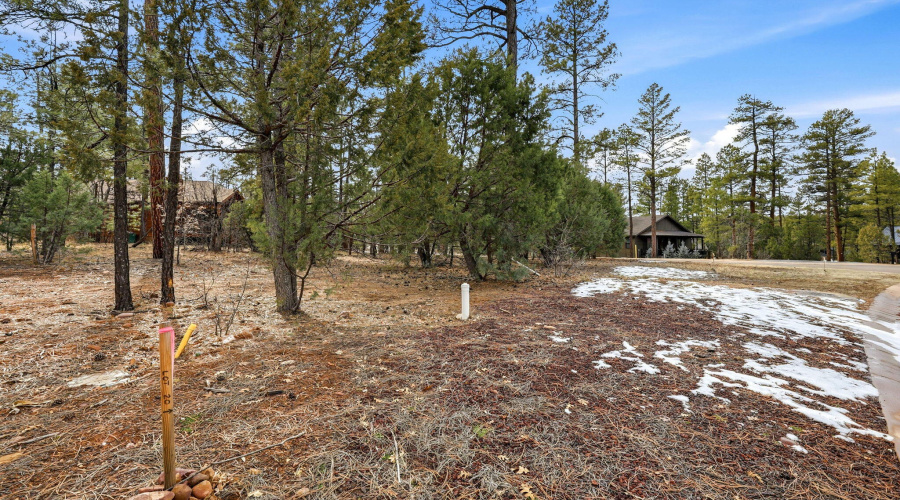 2840NarrowLeafLn-ShowLow-AZ-3