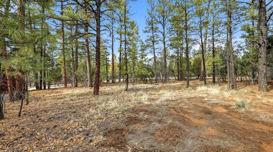2840NarrowLeafLn-ShowLow-AZ-4