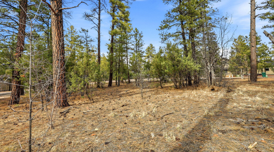 2840NarrowLeafLn-ShowLow-AZ-5