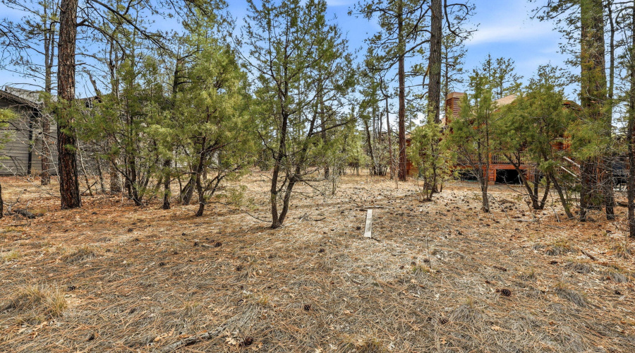 2840NarrowLeafLn-ShowLow-AZ-6