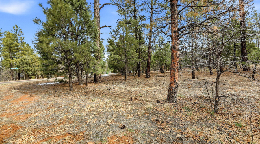 2840NarrowLeafLn-ShowLow-AZ-7