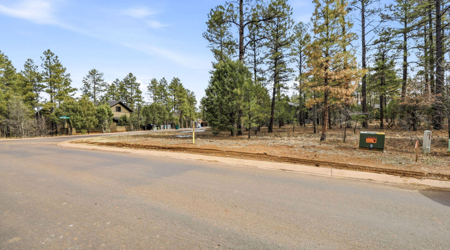 2840NarrowLeafLn-ShowLow-AZ-8