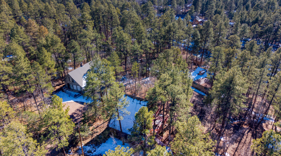 PaxmanPh_DJI_20260127090013_0297_D