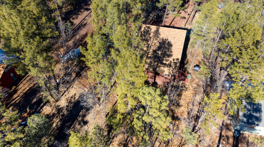 PaxmanPh_DJI_20260127090052_0320_D