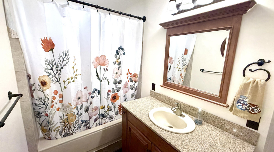 Guest bathroom