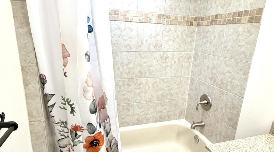 Guest bathroom tub