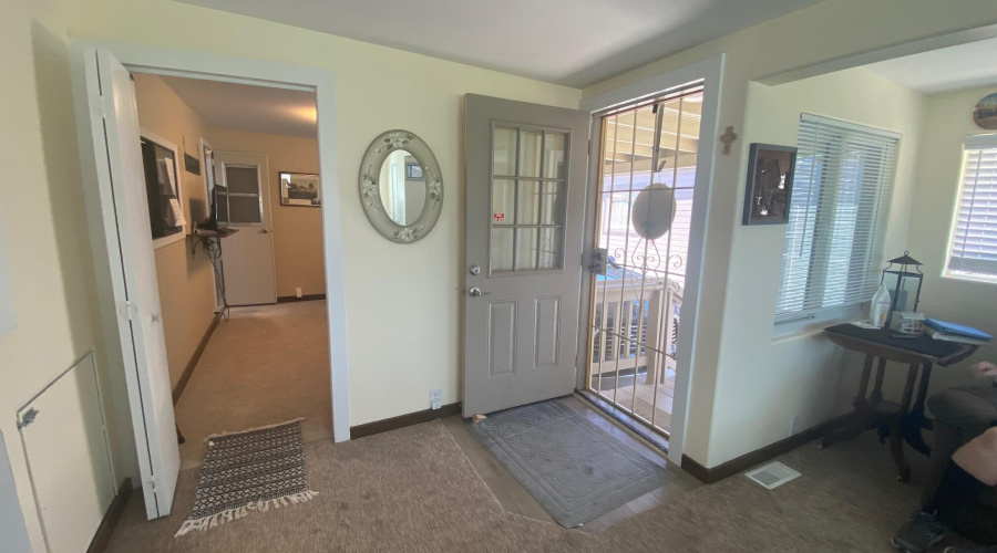 IMG_3563
