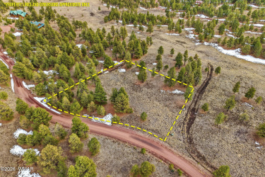14 County Road N 1332, Greer, Arizona 85927, ,Land,For Sale,County Road N 1332,259422