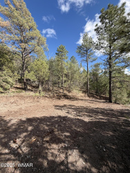 75 County Road 2108, Nutrioso, Arizona 85932, ,Land,For Sale,County Road 2108,254205