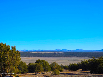 TBD Bunkhouse Road, Show Low, Arizona 85901, ,Land,For Sale,Bunkhouse,259419