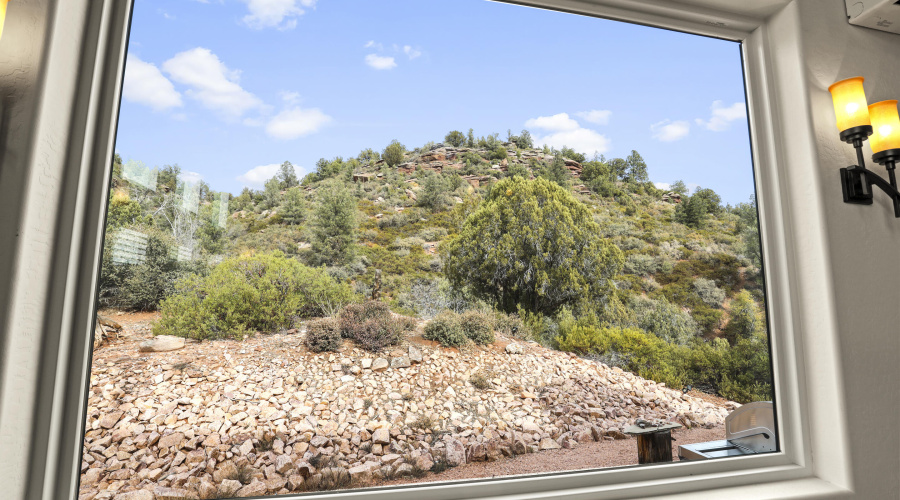 Living Room Window View