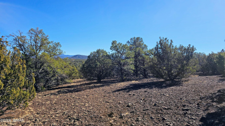 76 N3130, Vernon, Arizona 85940, ,Land,For Sale,N3130,259434