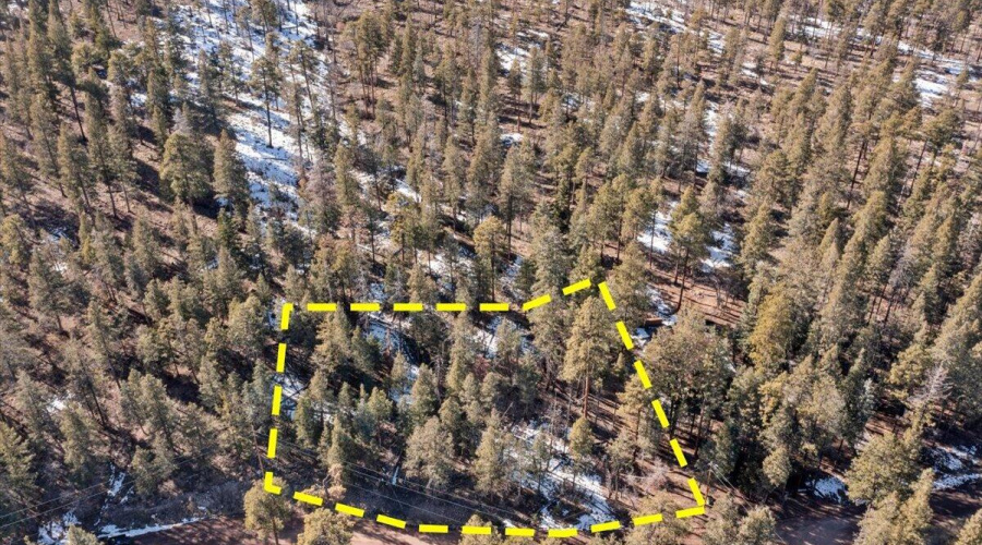 3-DJI_0472