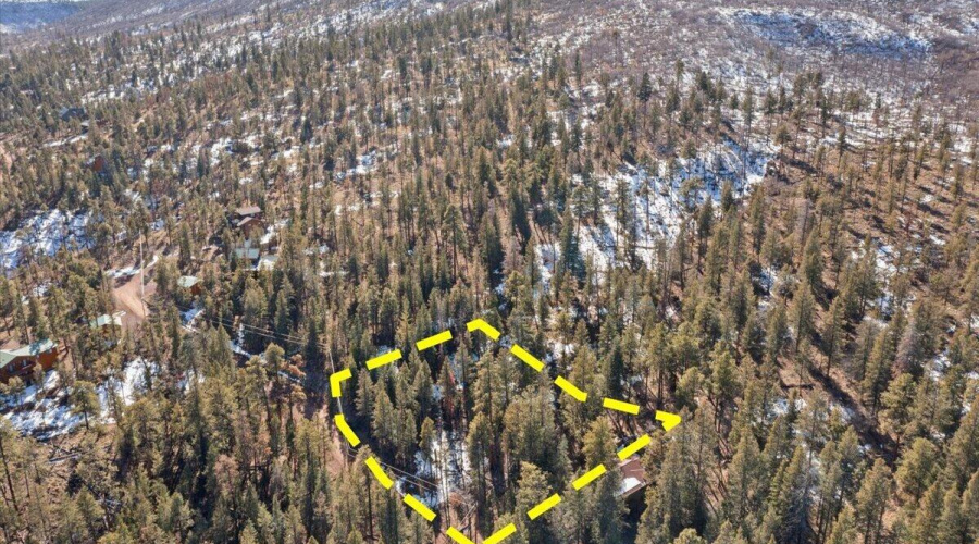 4-DJI_0502