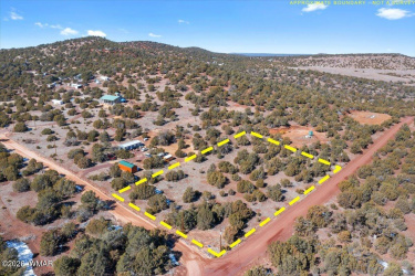 51 County Rd 3193, Vernon, Arizona 85940, ,Land,For Sale,County Rd 3193,259435