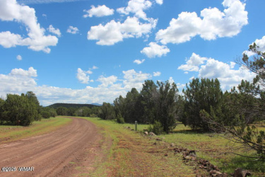 29 Co Rd 3199, Vernon, Arizona 85940, ,Land,For Sale,Co Rd 3199,259450