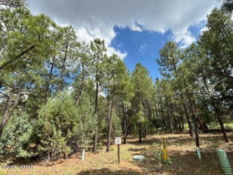 2340 Pinegrass Road, Show Low, Arizona 85901, ,Land,For Sale,Pinegrass,259455