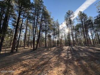 2360 Narrow Leaf Lane, Show Low, Arizona 85901, ,Land,For Sale,Narrow Leaf,259457