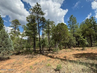 2341 Pinegrass Road, Show Low, Arizona 85901, ,Land,For Sale,Pinegrass,259456