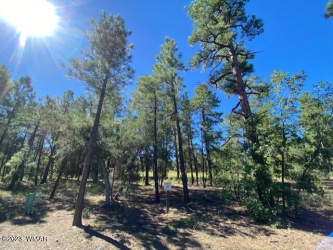 2360 Pinegrass Road, Show Low, Arizona 85901, ,Land,For Sale,Pinegrass,259458