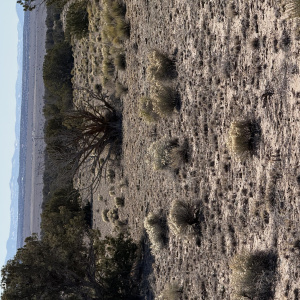Woodland Valley Ranch Parcel 796
