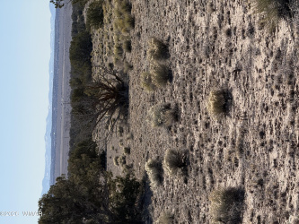 TBD N6549, St. Johns, Arizona 85936, ,Land,For Sale,N6549,259474