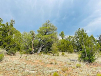 8418 Haven Crest Drive, Happy Jack, Arizona 86024, ,Land,For Sale,Haven Crest,93405