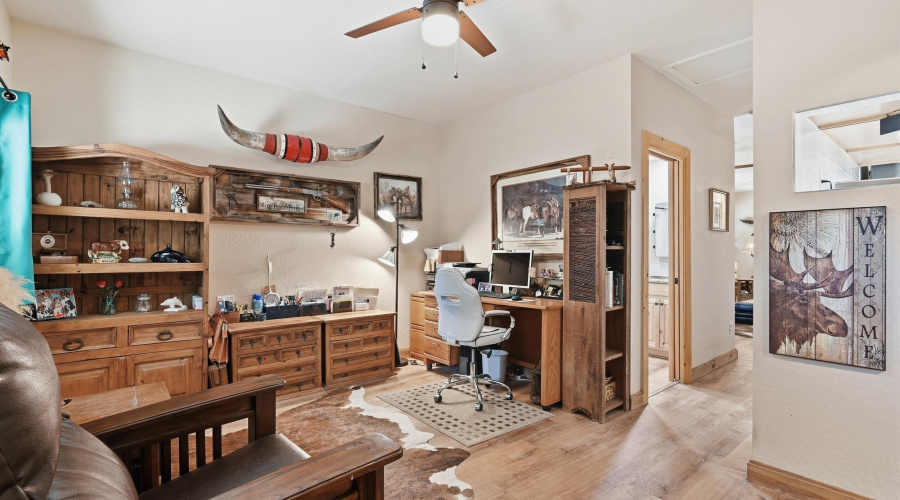 Entryway/Den
