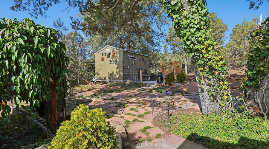 Backyard
